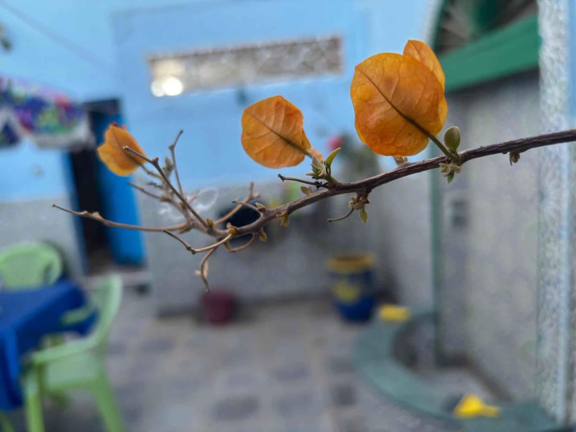 Villa Casa Morisca à Sidi Ifni Extérieur photo